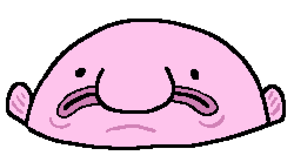 A blobfish after being brought to the surface and decompressed. It looks pink, bloated, and blobby.