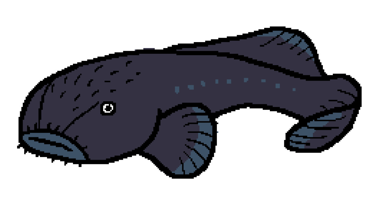 A blobfish as it looks in its natural habitat. It looks like a regular dark grey fish.